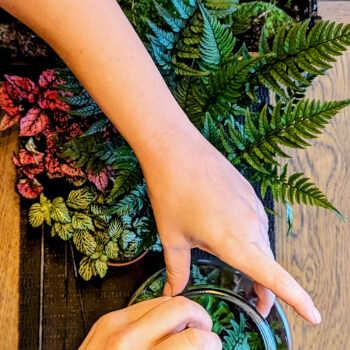 Creative plant work 