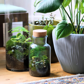 Handcrafted large terrarium 
