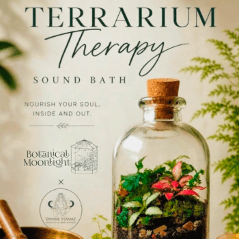 Finding out the concept of The Botanical Cafe x Sound Bath