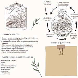 Terrarium class by Botanical Moonlight