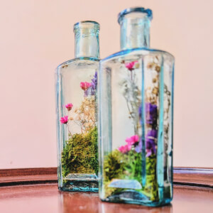 Terrarium class by Botanical Moonlight