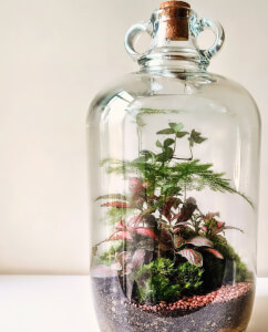 Terrarium class by Botanical Moonlight